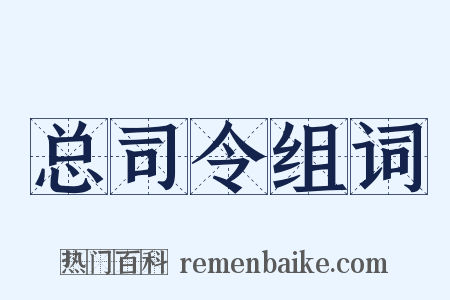 总司令组词是什么意思的图片